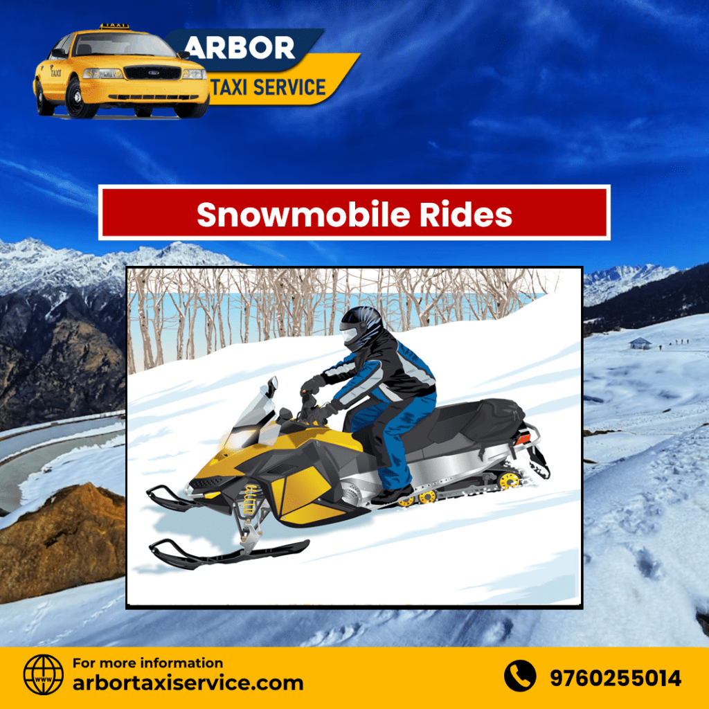 Snowmobile Rides