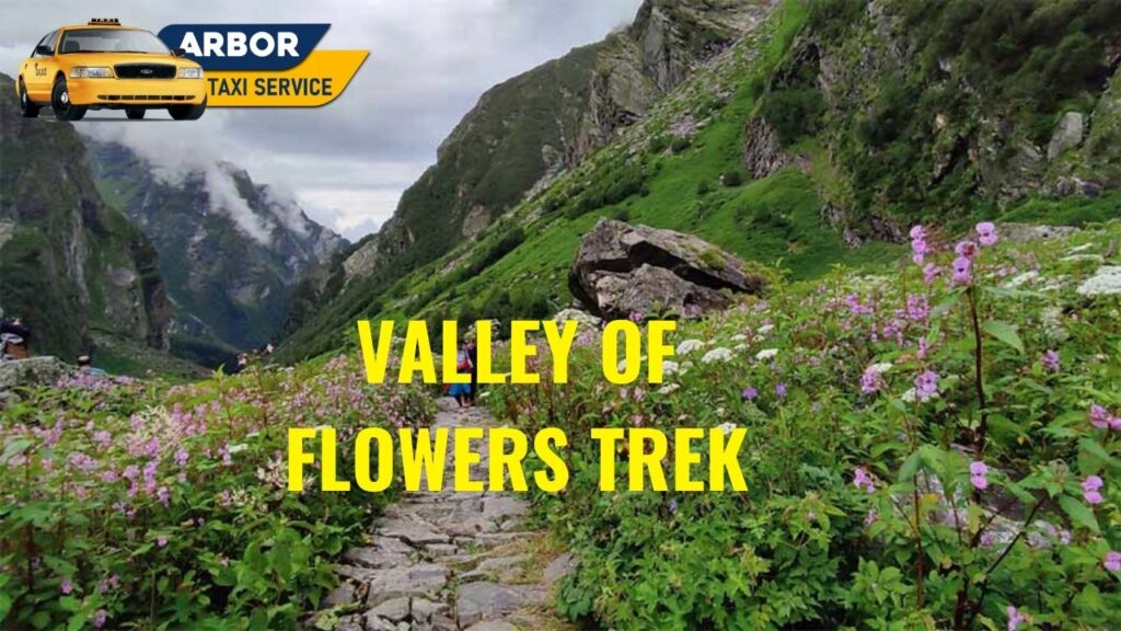 Valley of Flowers Trek