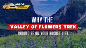 Why the Valley of Flowers Trek Should Be on Your Bucket List?